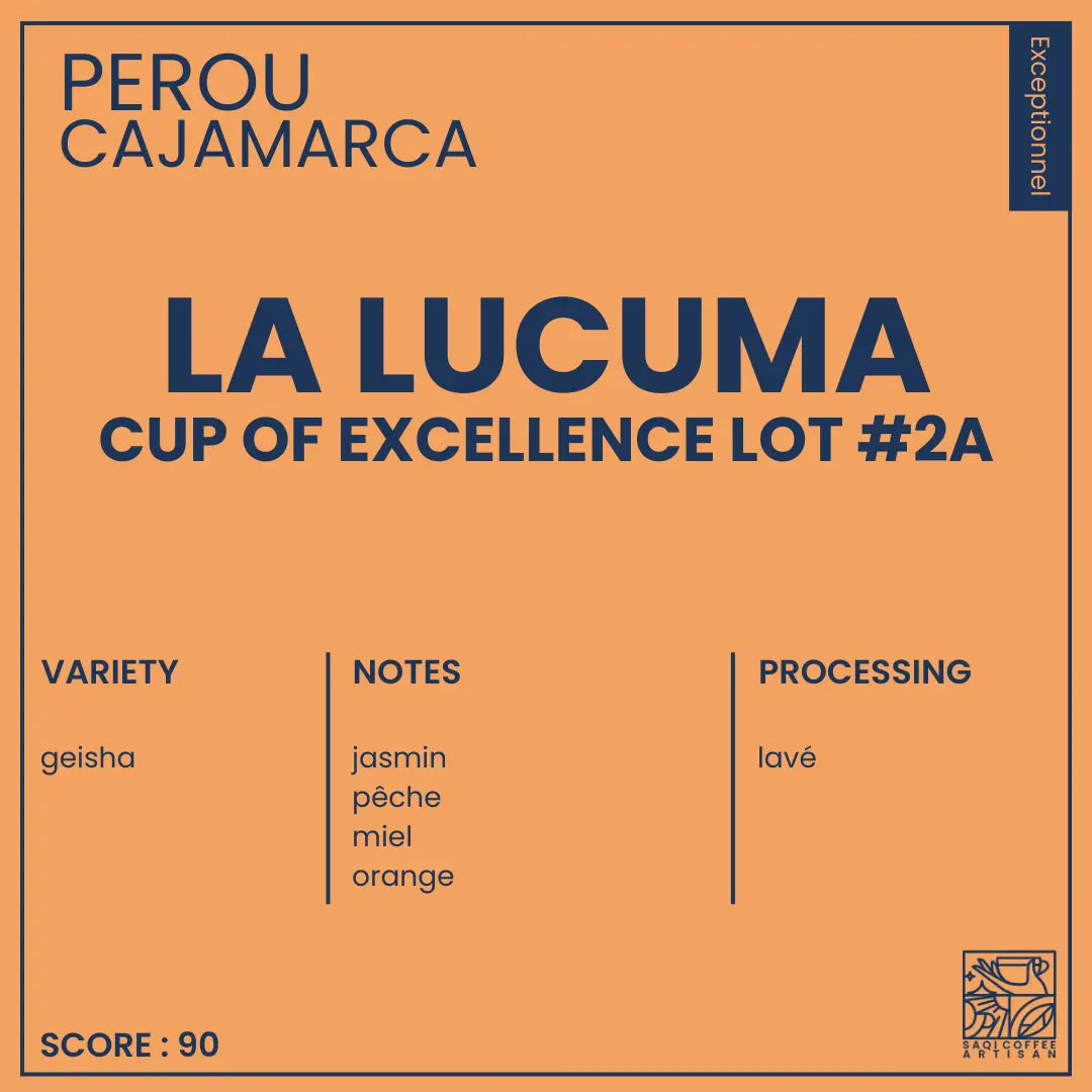 Café de spécialité La Lucuma Geisha Lavé-