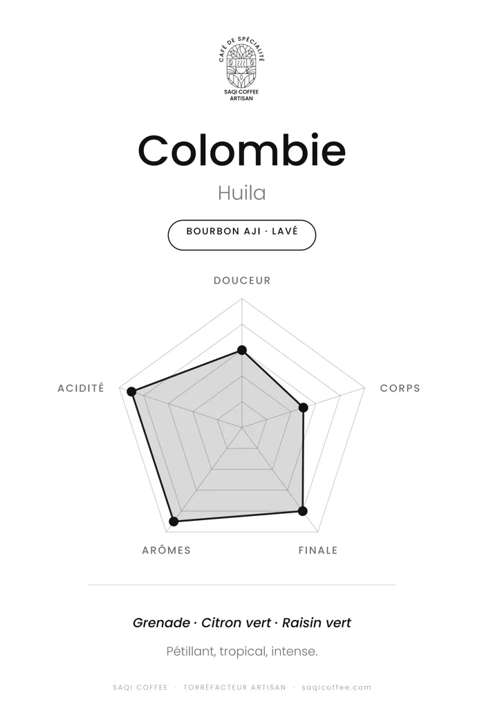 Radar de dégustation du Colombie Los Yarumos Bourbon Aji lavé : douceur, corps, finale, arômes et acidité