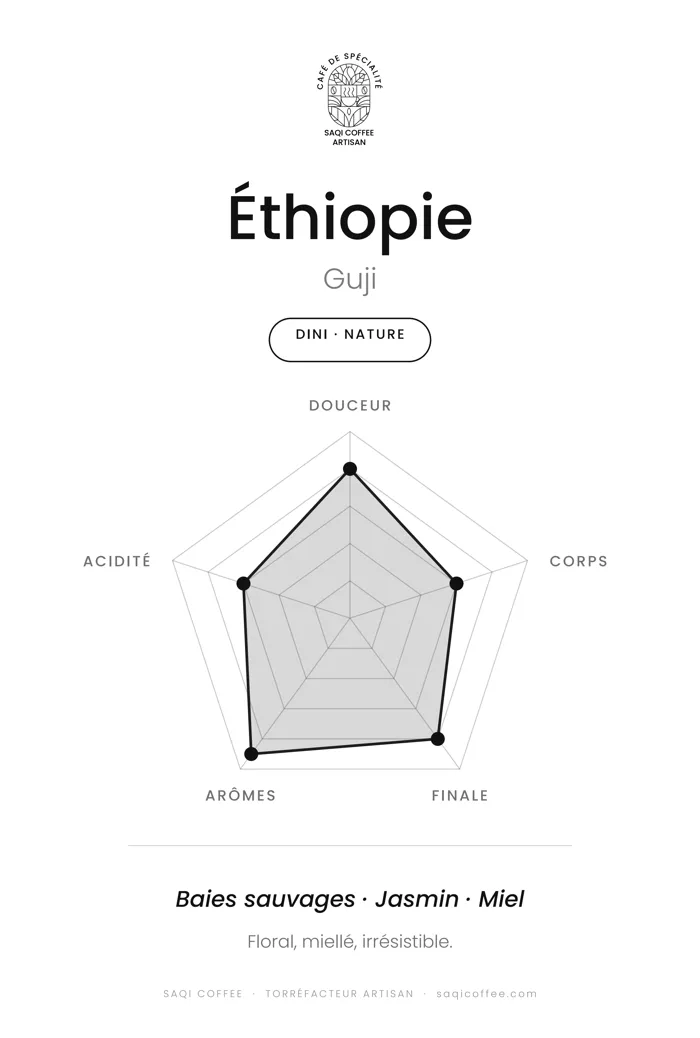 Radar de dégustation du Éthiopie Dini Guji nature : douceur, corps, finale, arômes et acidité