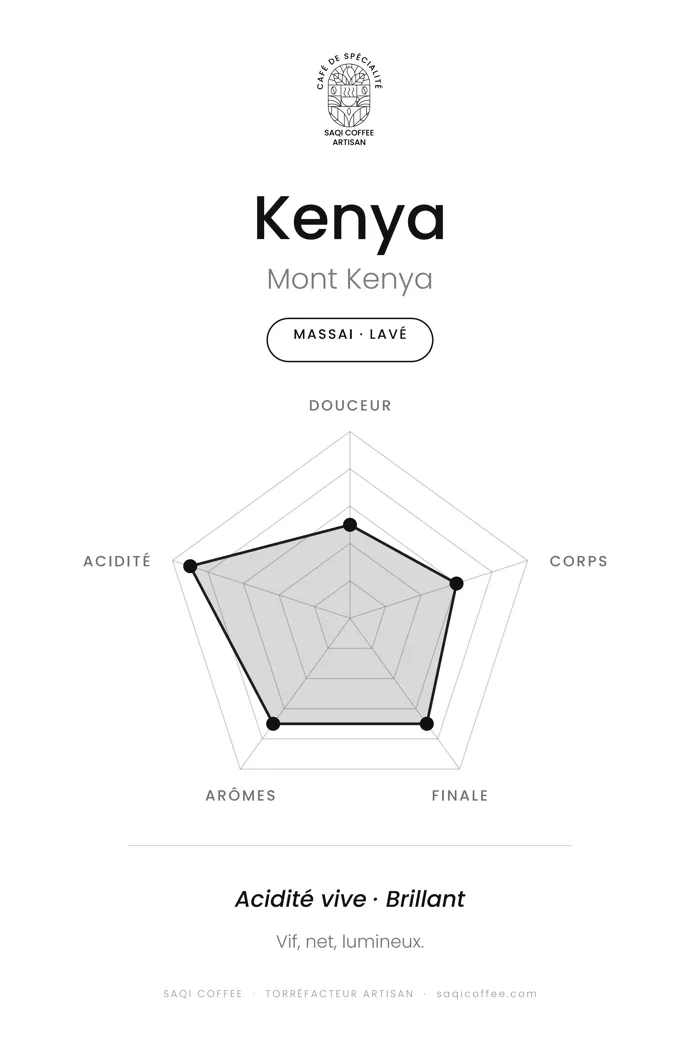 Radar de dégustation du Kenya Massai lavé : douceur, corps, finale, arômes et acidité