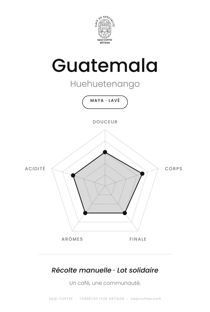 Radar de dégustation du Guatemala Maya lavé : douceur, corps, finale, arômes et acidité