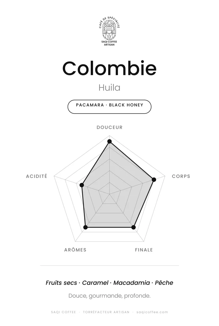 Radar de dégustation du Colombie Buena Vista Pacamara Black Honey : douceur, corps, finale, arômes et acidité