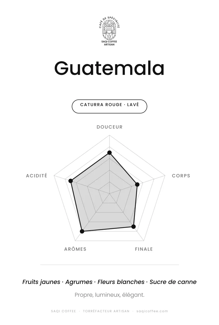 Radar de dégustation du Guatemala Pampojila Caturra Rouge lavé : douceur, corps, finale, arômes et acidité